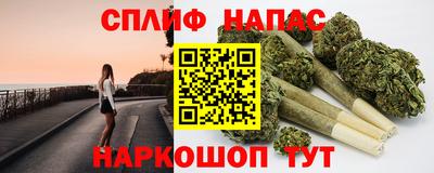 тгк Моздок
