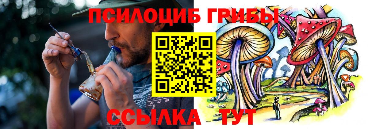 Бор  Псилоцибиновые грибы GOLDEN TEACHER  Вход с VPN 